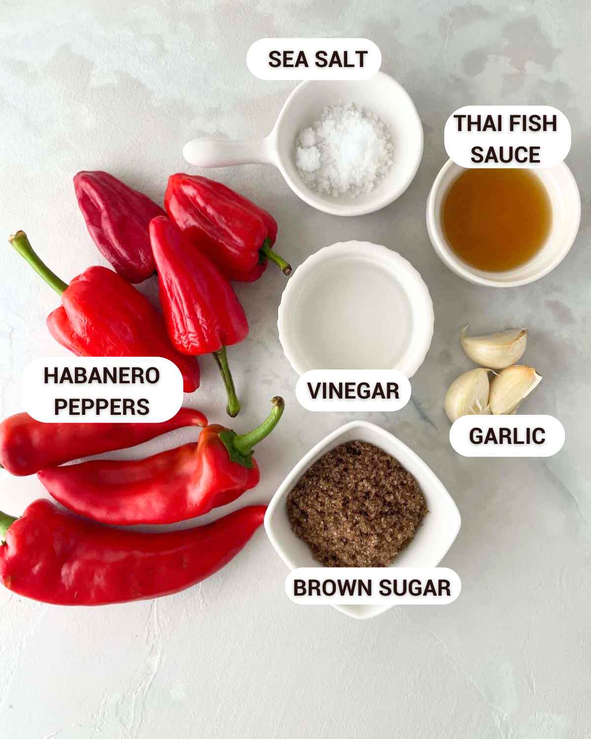 Ingredients for Garlic Habanero Hot Sauce