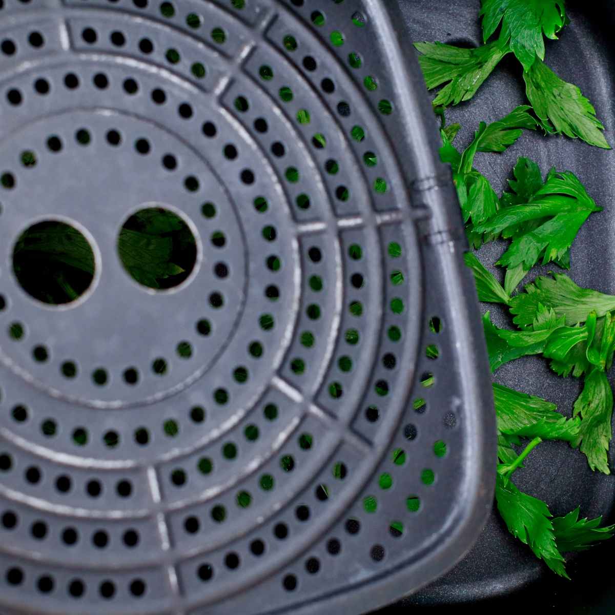 air fry celery leaves
