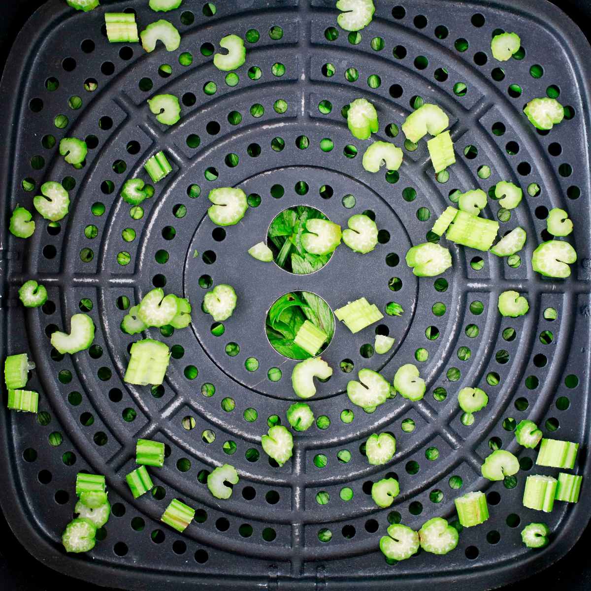 transfer chopped celery into an air fryer