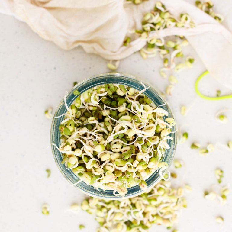 How to Sprout Mung Beans