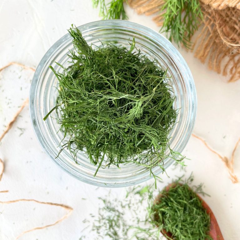 How to Dry Dill
